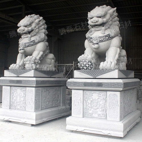 广场石雕狮子雕刻 大型石雕石雕狮子生产 泉州石雕狮子订购批发