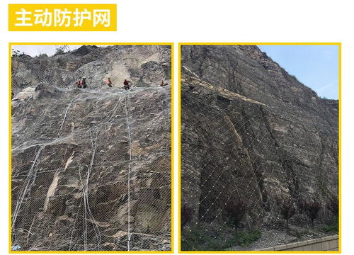黔西南主动防护网 主动防护网aps 025 成都主动网厂家